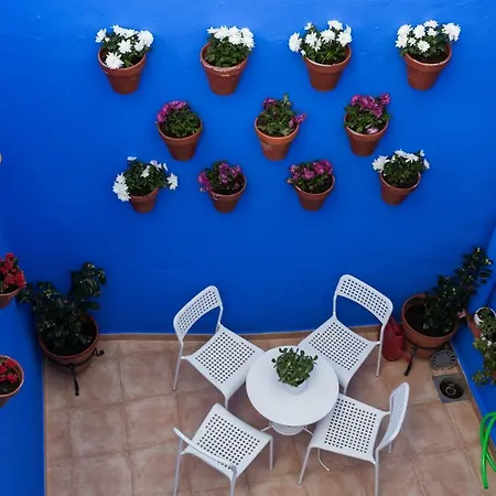 Apartment La Plazuela De Santa Cruz Seville